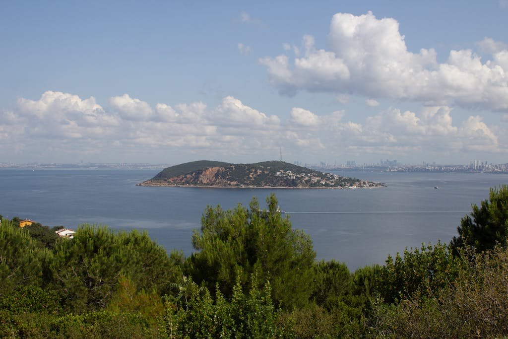 Panoramic view of the Bosphorus, with lush greenery and the Istanbul skyline in the distance.